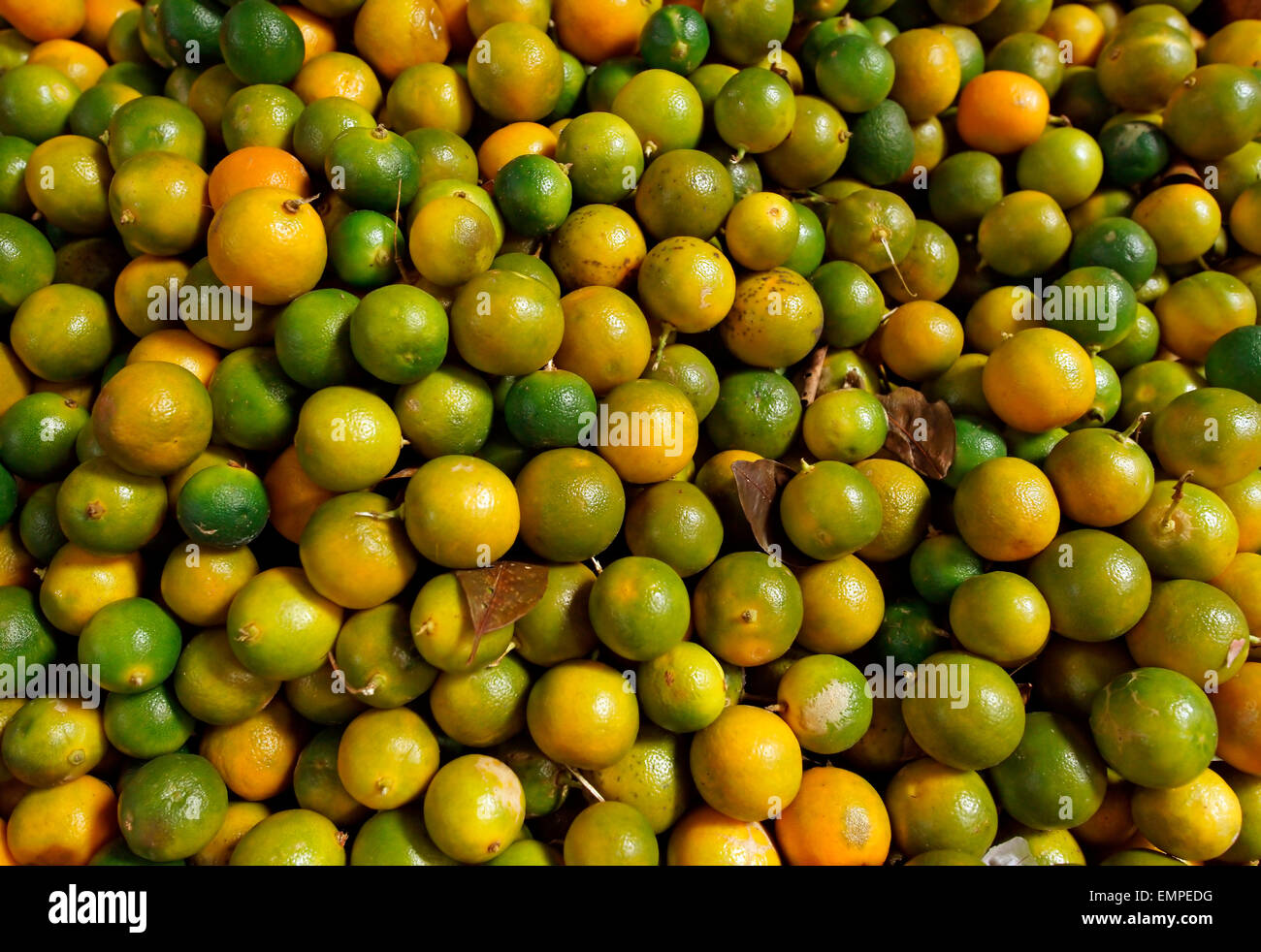 Limette (Citrus aurantiifolia) per la vendita su un mercato in Indonesia Foto Stock