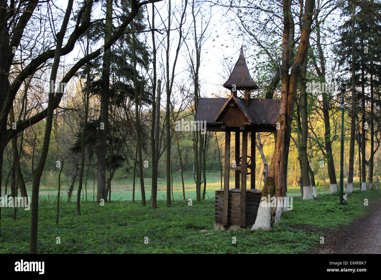 Fontana di rumeno Foto Stock