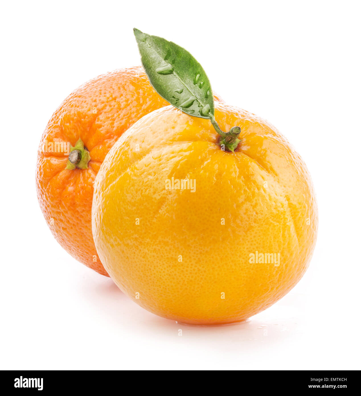 Arance mature isolati su sfondo bianco Foto Stock