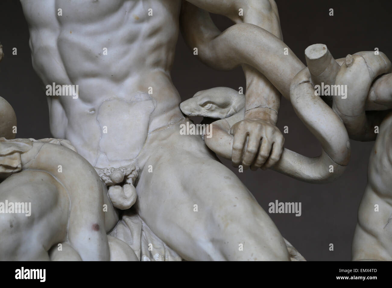 Arte ellenica. Lacoon e i suoi figli, e Antiphantes Thymbraeus essendo attaccato da serpenti di mare. Dettaglio. Musei Vaticani. Foto Stock