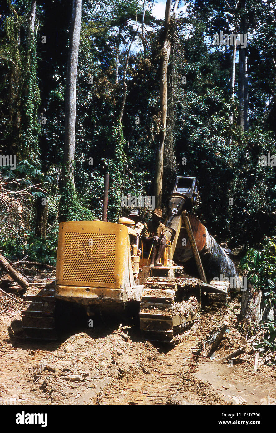 Anni sessanta, storico, Ghana, tira fuori un escavatore meccanico tirando grande albero si disconnette attraverso una radura in una foresta. Foto Stock