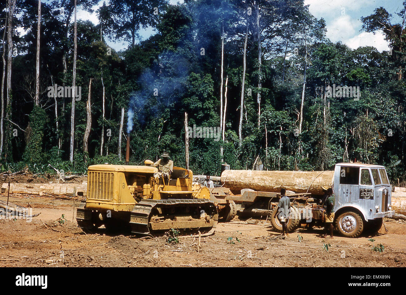Anni sessanta, Ghana, carrello e scavatrice con carico di grande albero log in una radura nel bosco. Foto Stock