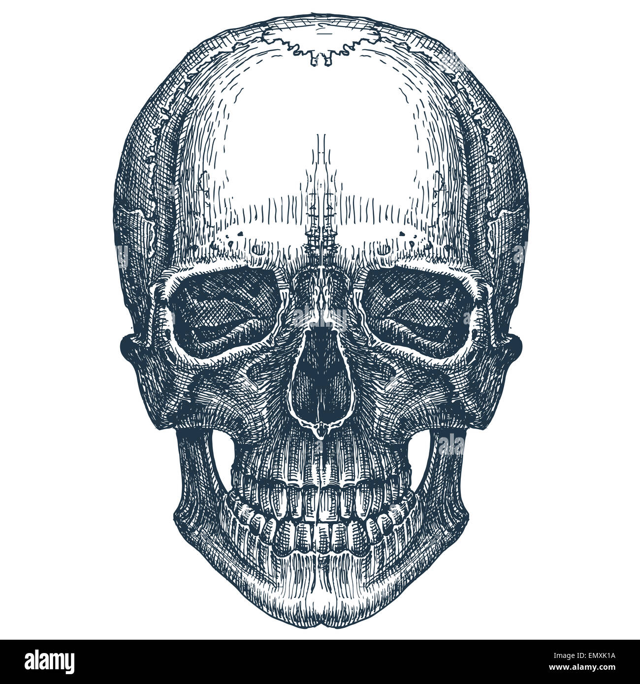 Vettore di cranio logo design modello. fresh morte, malattia o Jolly Roger icona. Foto Stock