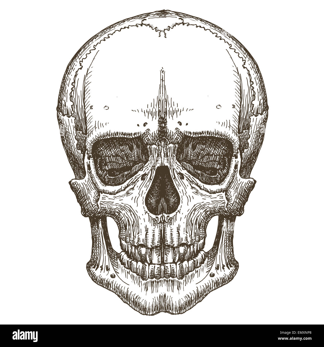 Vettore di cranio logo design modello. morte, malattia o icona di zombie. Foto Stock
