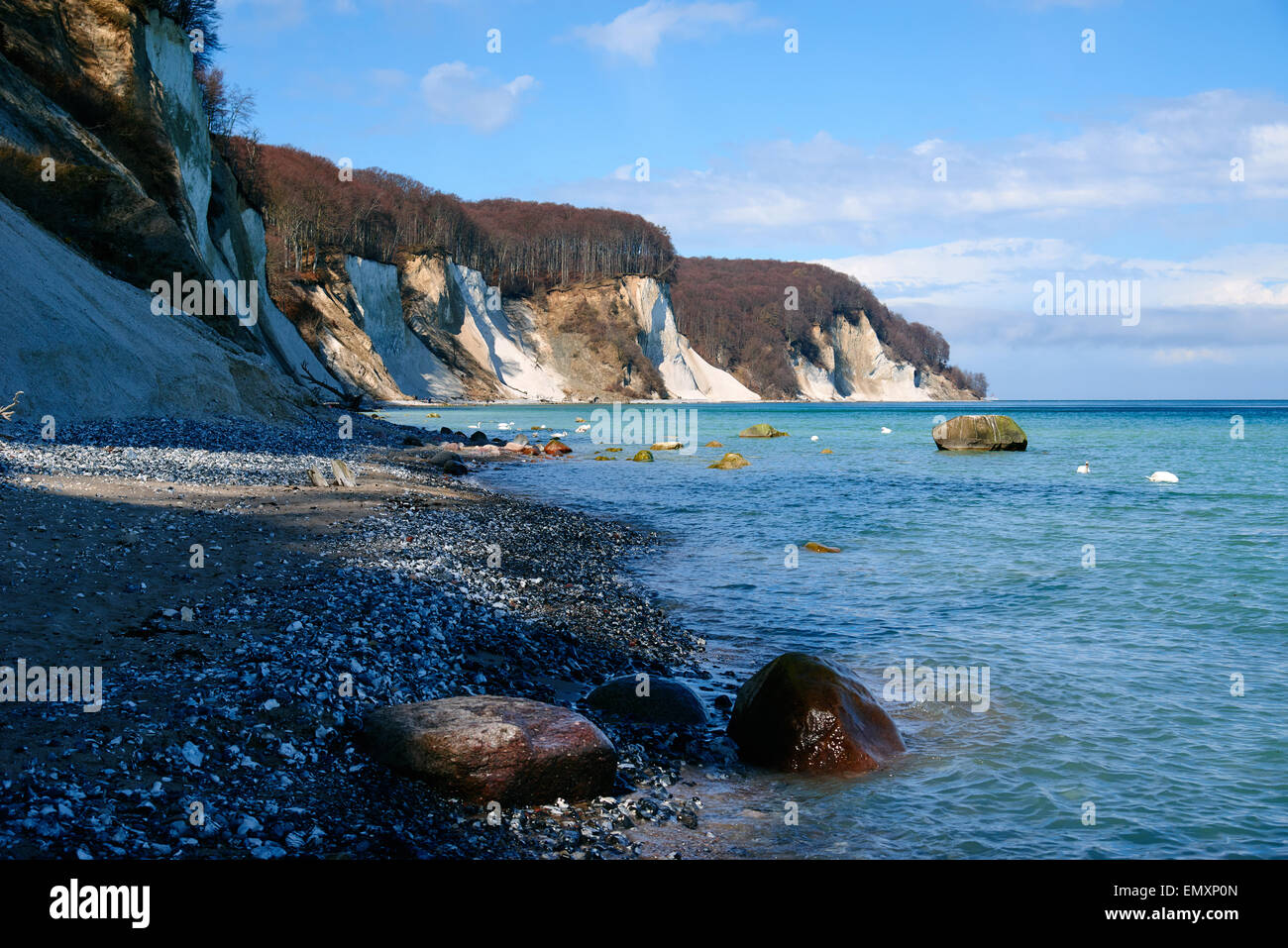 Alte scogliere di gesso presso la costa di isola di Rügen, Jasmund National Park Foto Stock