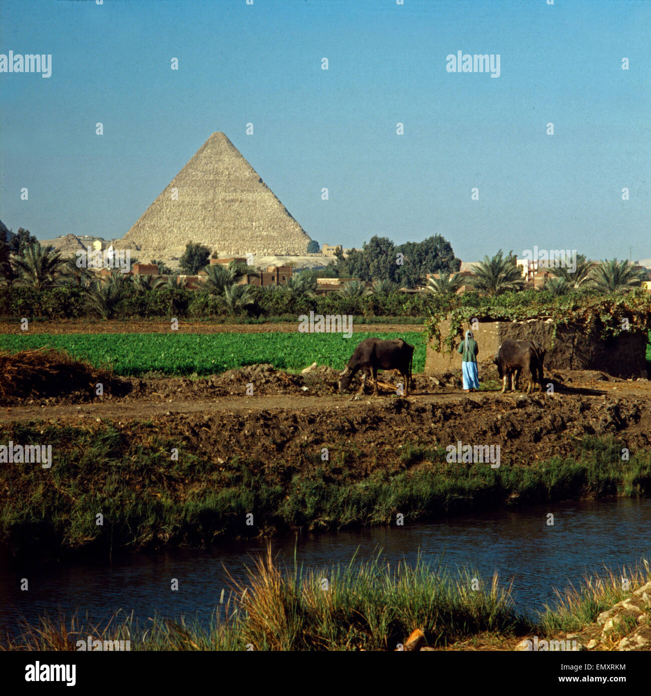 Hinter einem Nilkanal und fruchtbarem Ackerland erhebt sich die Pyramide des Cheope in Gizeh bei Kairo, Ägypten, Ende 1970er Jah Foto Stock