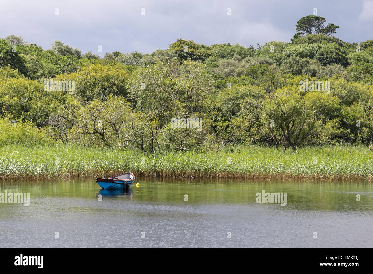 Barca a remi sul tranquillo Lago di Killarney, nella contea di Kerry, Irlanda Foto Stock