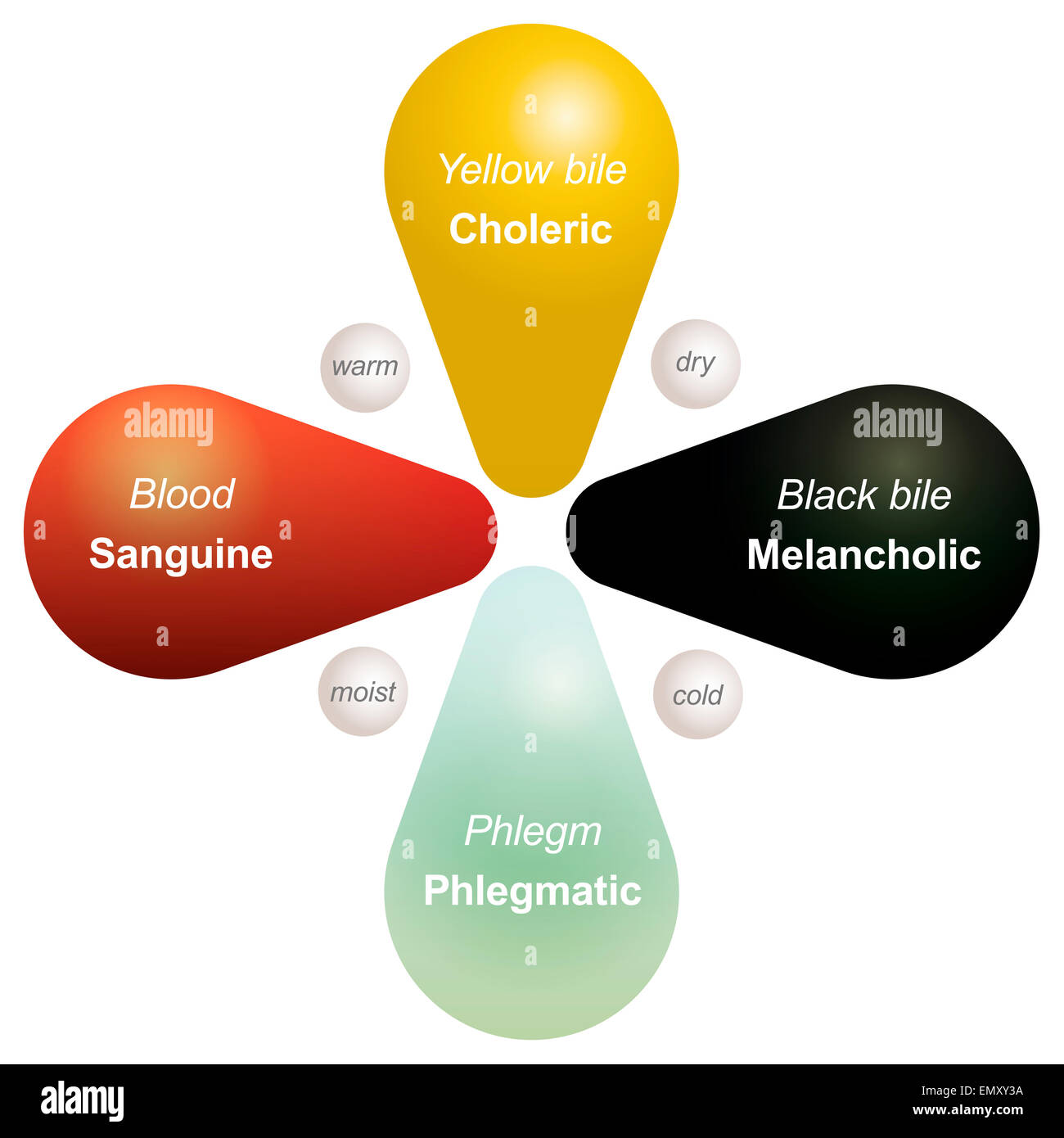 Quattro Temperamenti - sanguine, collerico, malinconico e flemmatico - e il corrispondente umori, tra di loro le loro qualità. Foto Stock
