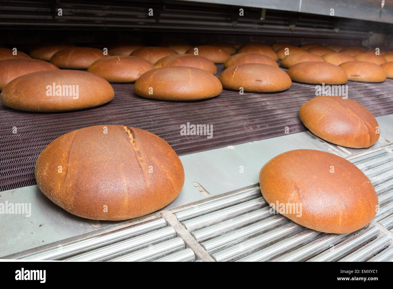Calda fresca pasta di pane cotto al forno con polpettine sulla linea di produzione Foto Stock