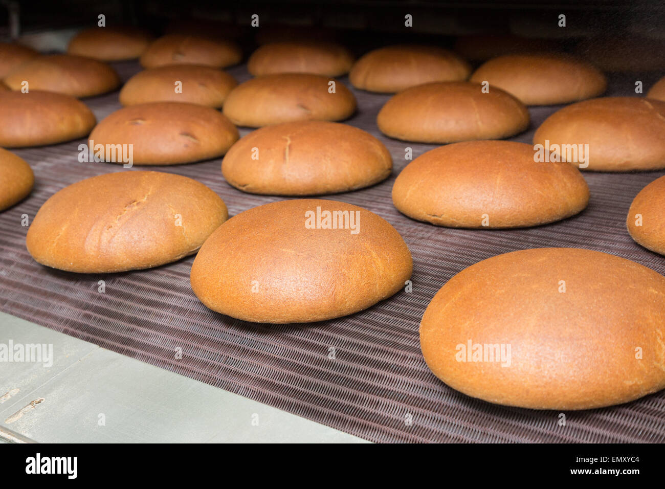 Calda fresca pasta di pane cotto al forno con polpettine sulla linea di produzione Foto Stock