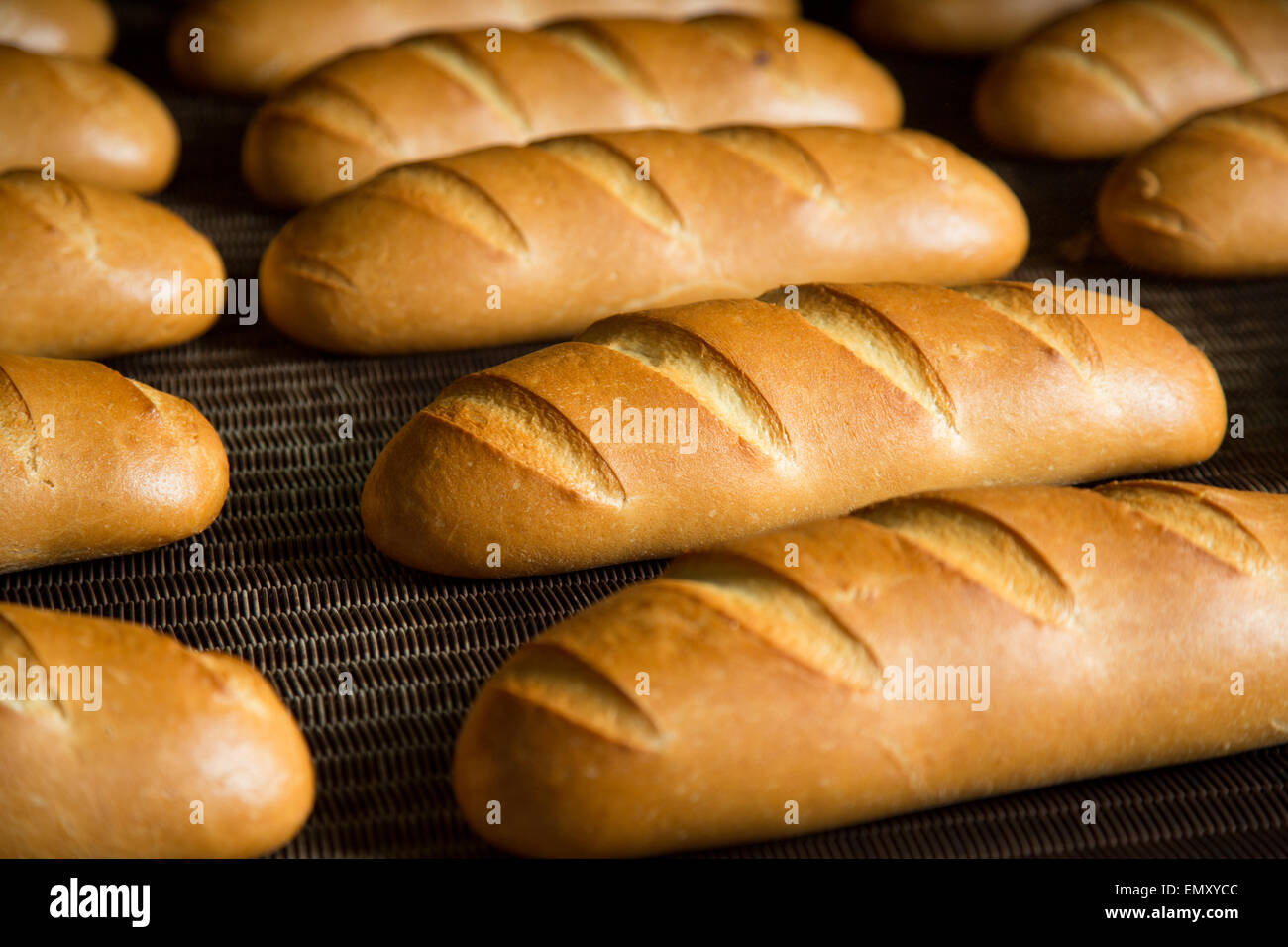 Calda fresca pasta di pane cotto al forno con polpettine sulla linea di produzione Foto Stock