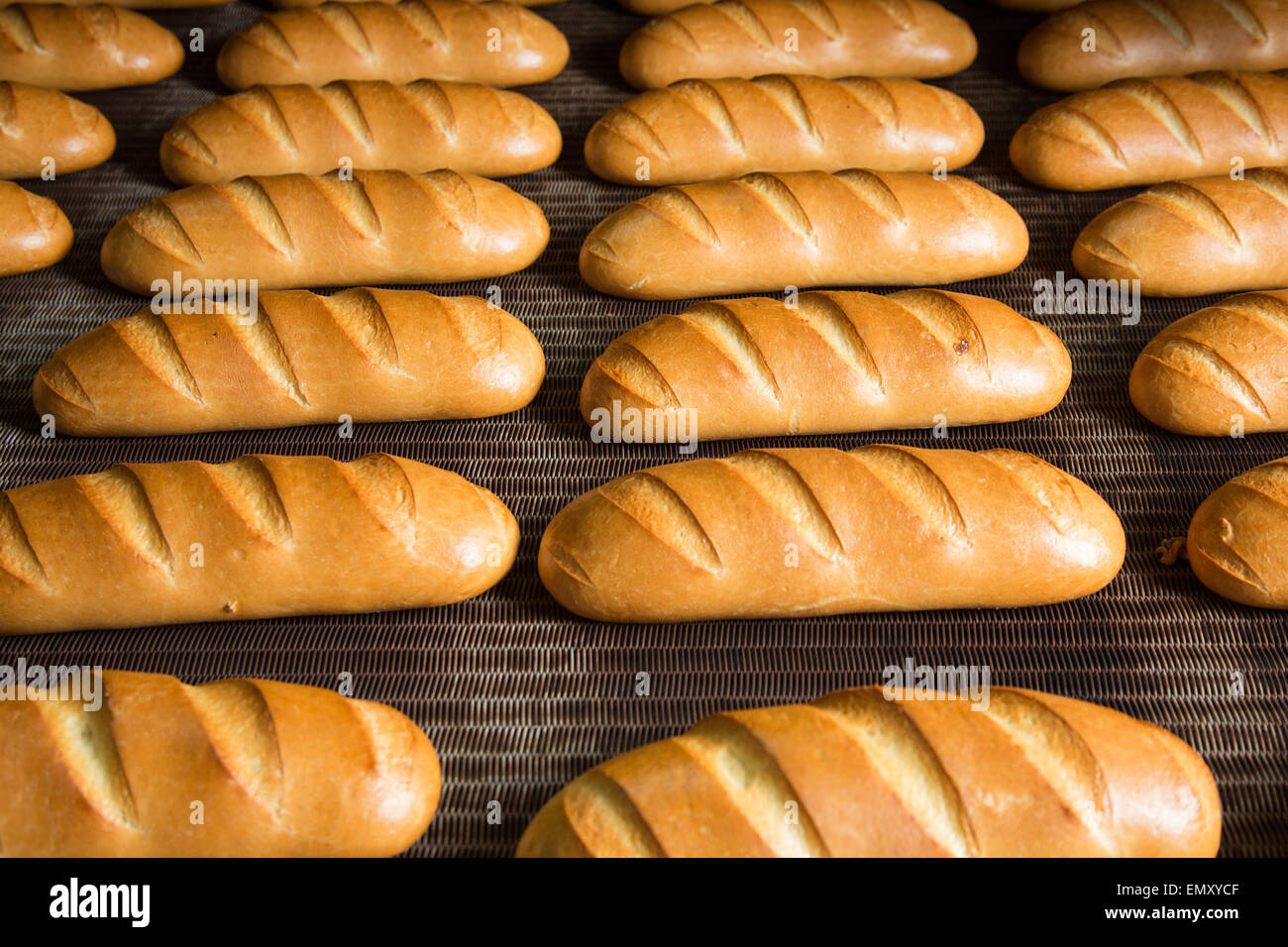 Calda fresca pasta di pane cotto al forno con polpettine sulla linea di produzione Foto Stock