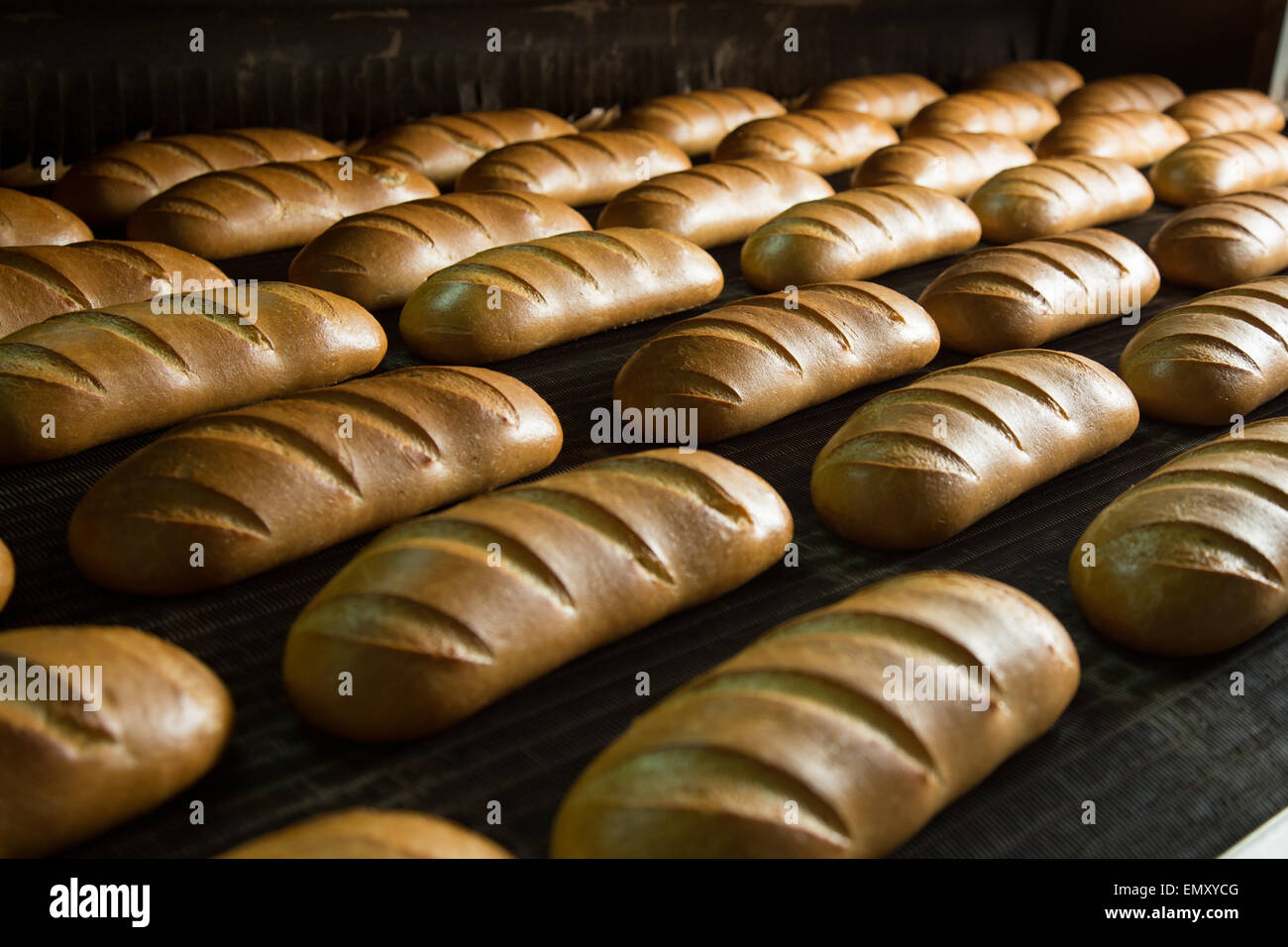 Calda fresca pasta di pane cotto al forno con polpettine sulla linea di produzione Foto Stock