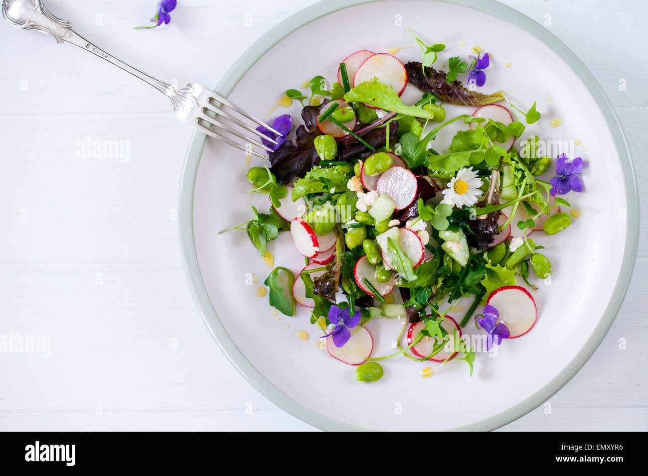 Insalata primaverile con radicchio, fave e violette Foto Stock