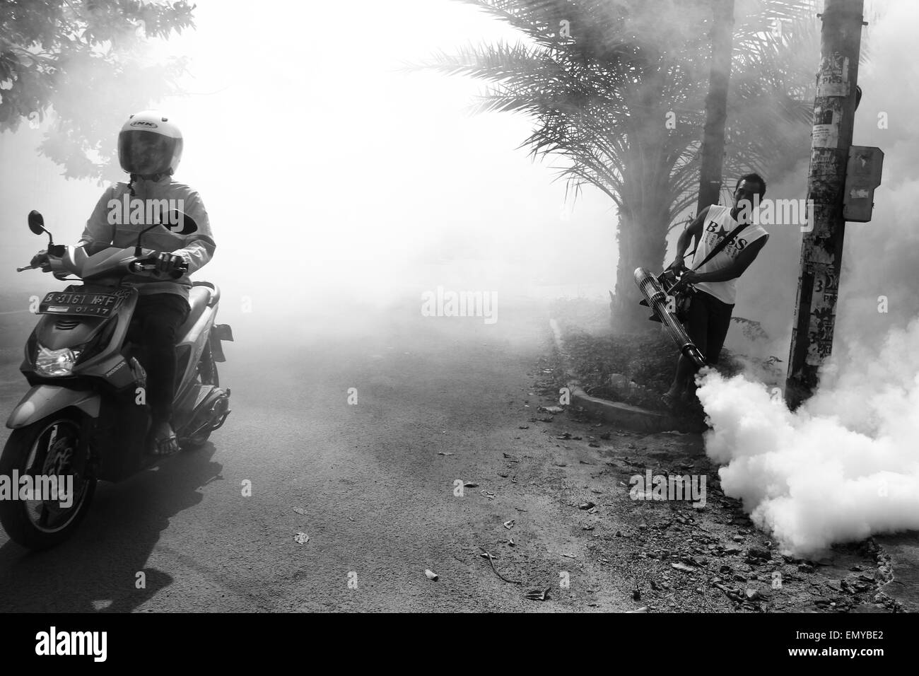 Tangerang, Indonesia. Xi Apr, 2015. L'appannamento per la febbre emorragica di dengue (DE) in Tangerang. La febbre emorragica di dengue (DE) causata dalla zanzara questo di solito diventano pandemia dopo la stagione delle piogge. Salute Agency ha messo in guardia le persone a rimanere vigili del focolaio di febbre dengue, che di solito aumenta durante il picco della stagione delle piogge e la transizione verso la stagione secca nonostante un calo rispetto allo stesso periodo dello scorso anno. © Garry Andrew Lotulung/Pacific Press/Alamy Live News Foto Stock