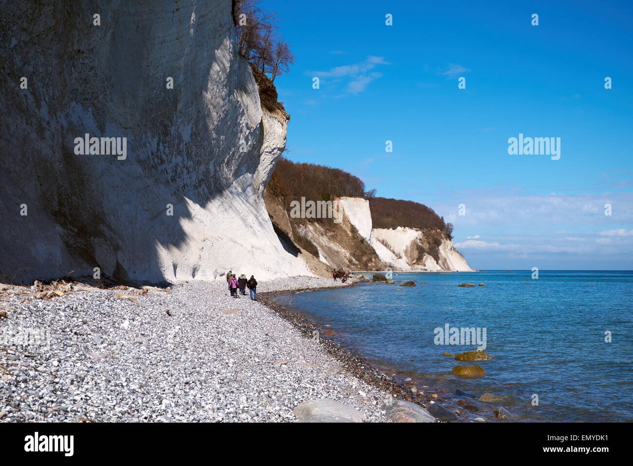 Alte scogliere di gesso presso la costa di isola di Rügen, Jasmund National Park Foto Stock