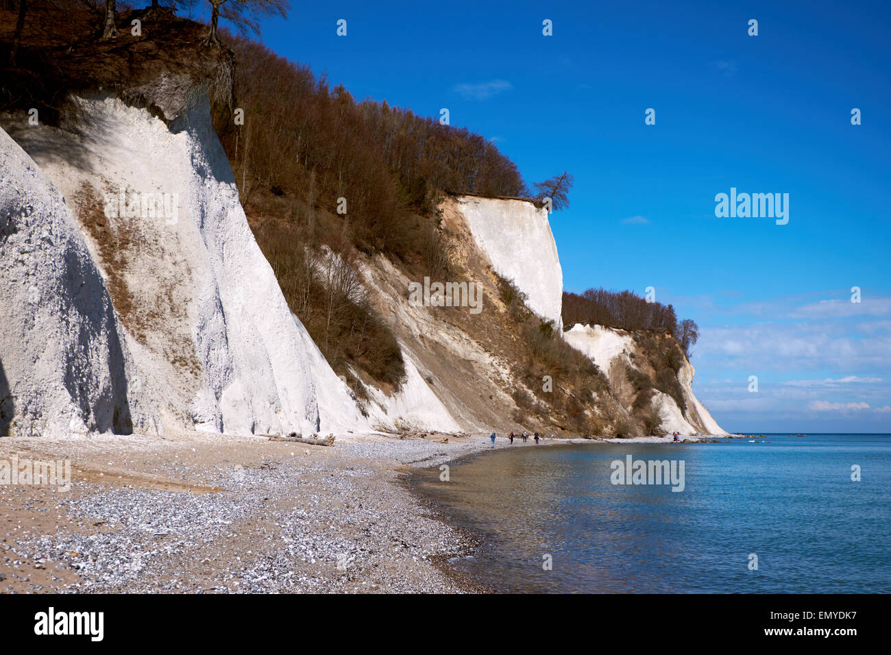 Alte scogliere di gesso presso la costa di isola di Rügen, Jasmund National Park Foto Stock
