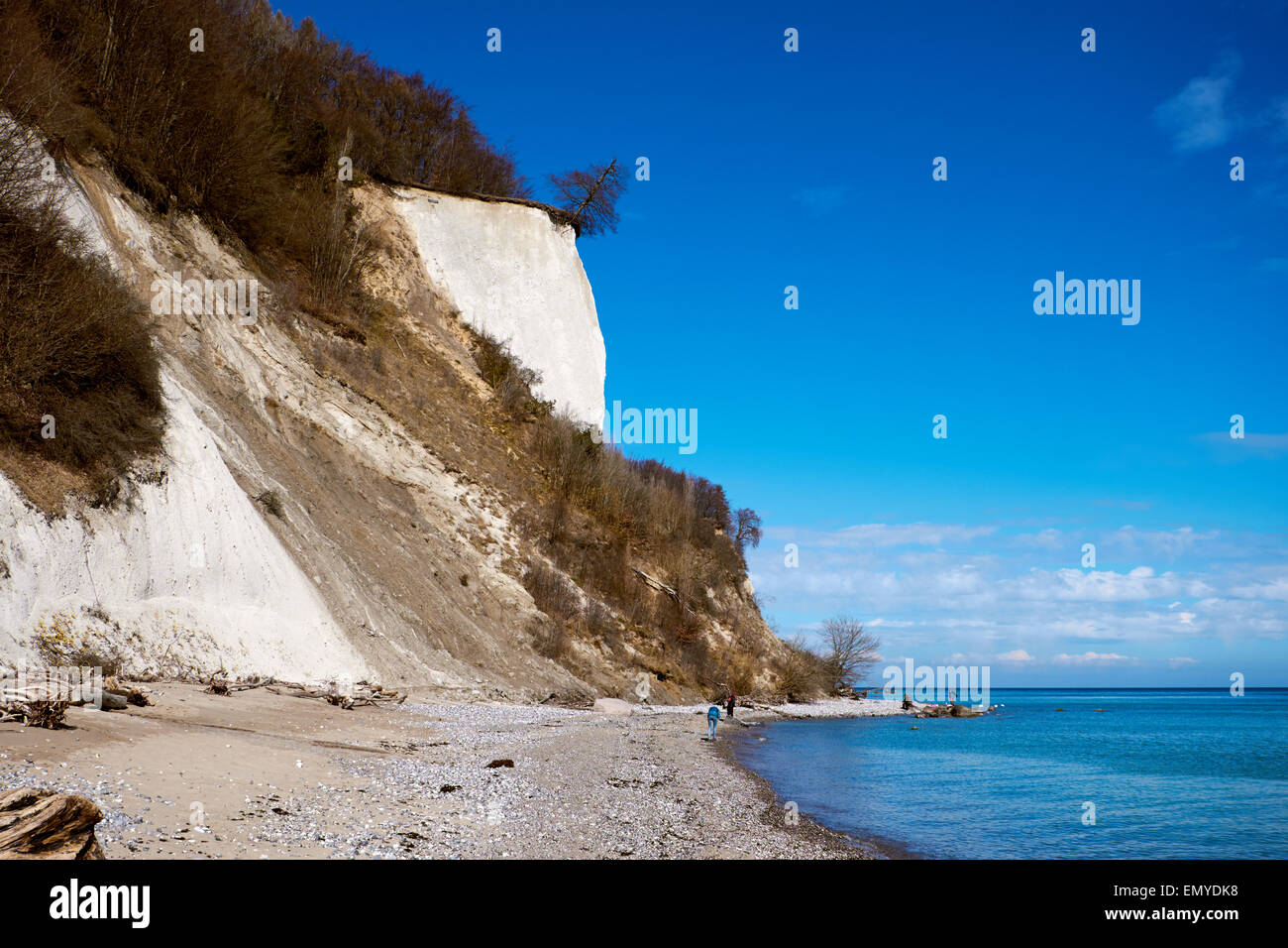 Alte scogliere di gesso presso la costa di isola di Rügen, Jasmund National Park Foto Stock