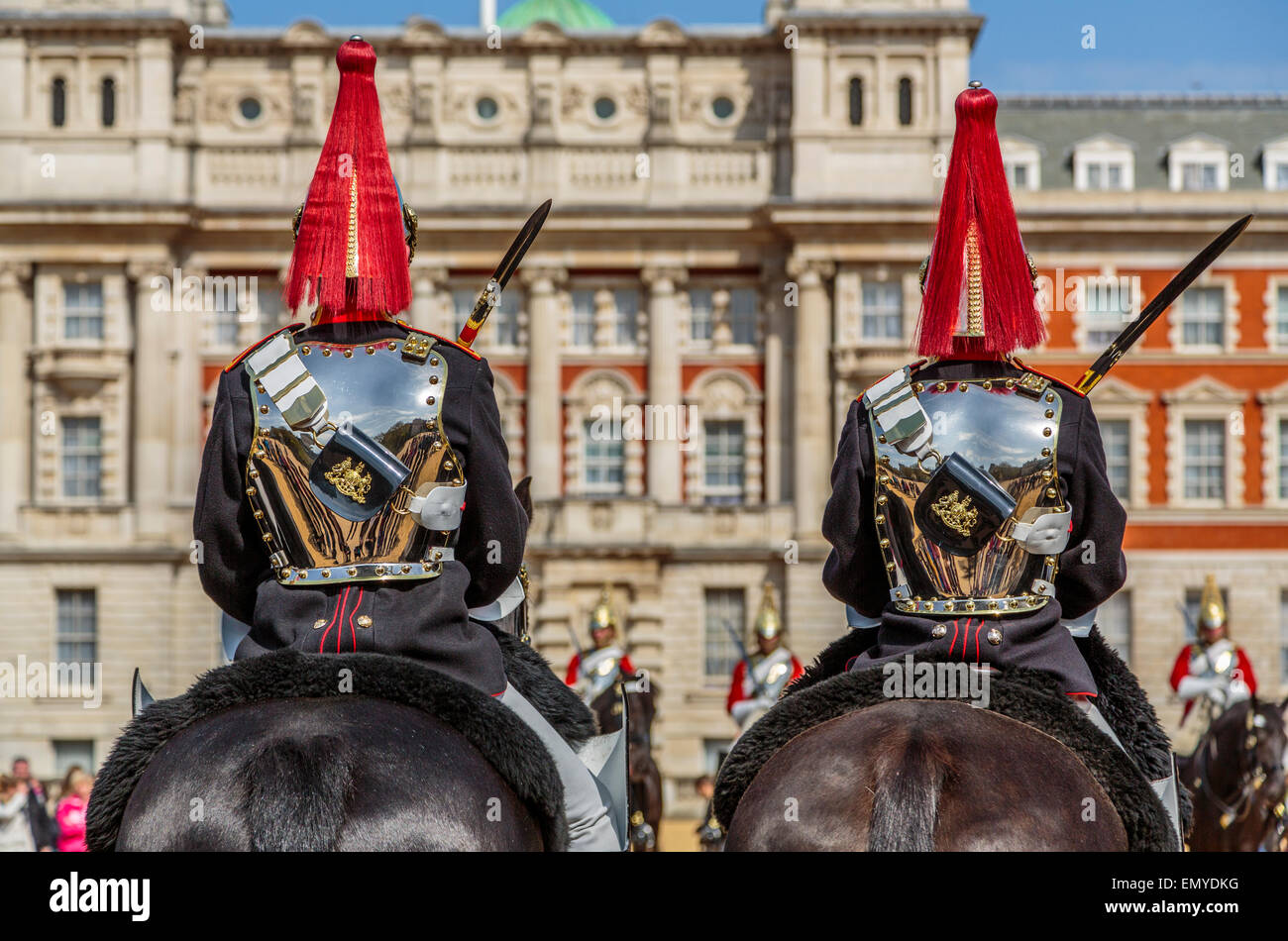 Un ritratto del Blues e Royals Cavalleria domestici la sfilata delle Guardie a Cavallo di Londra Foto Stock