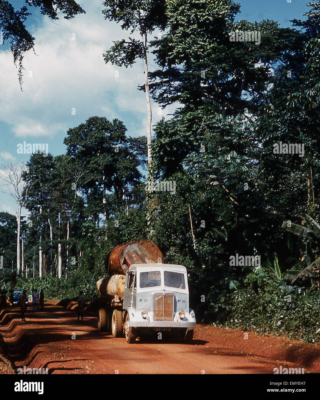 Anni sessanta, Ghana, carrello trasporta un carico di legname di grandi dimensioni o log attraverso la radura nel bosco. Foto Stock