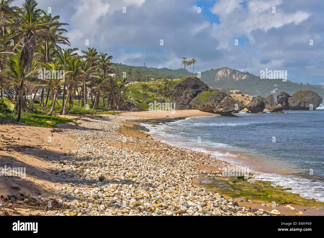 Bathsheba Beach Barbados Indie occidentali Foto Stock