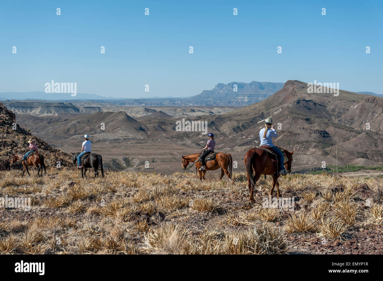 Equitazione in Big Bend Ranch State Park. Texas. Stati Uniti d'America Foto Stock