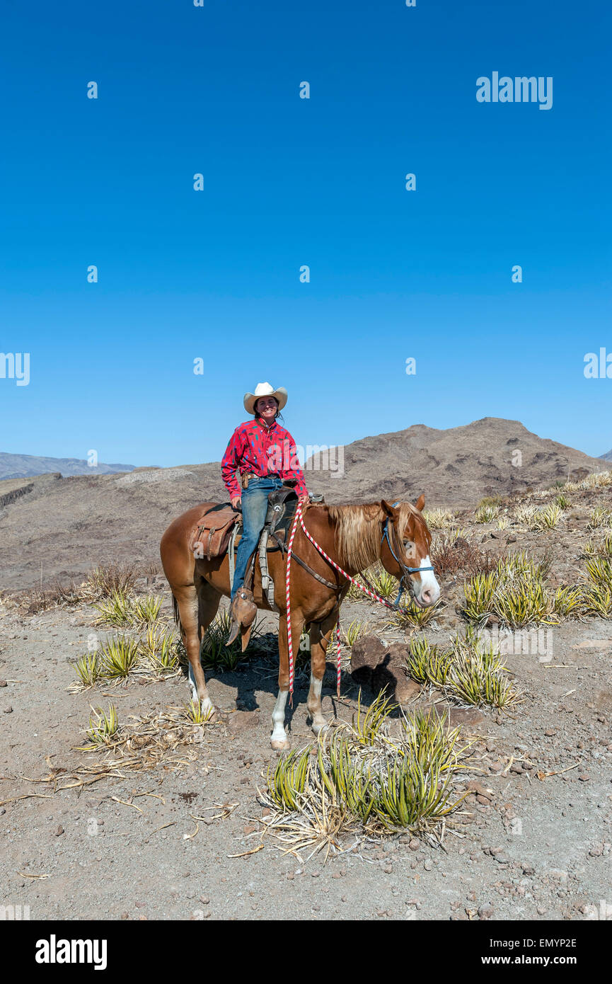 Equitazione in Big Bend Ranch State Park. Texas. Stati Uniti d'America Foto Stock