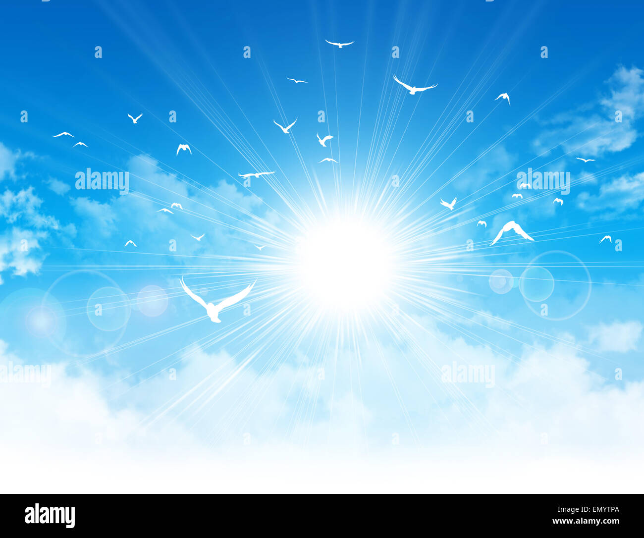 Libertà di volo. Bianco di volo degli uccelli di fronte al sole in un nuvoloso cielo blu Foto Stock