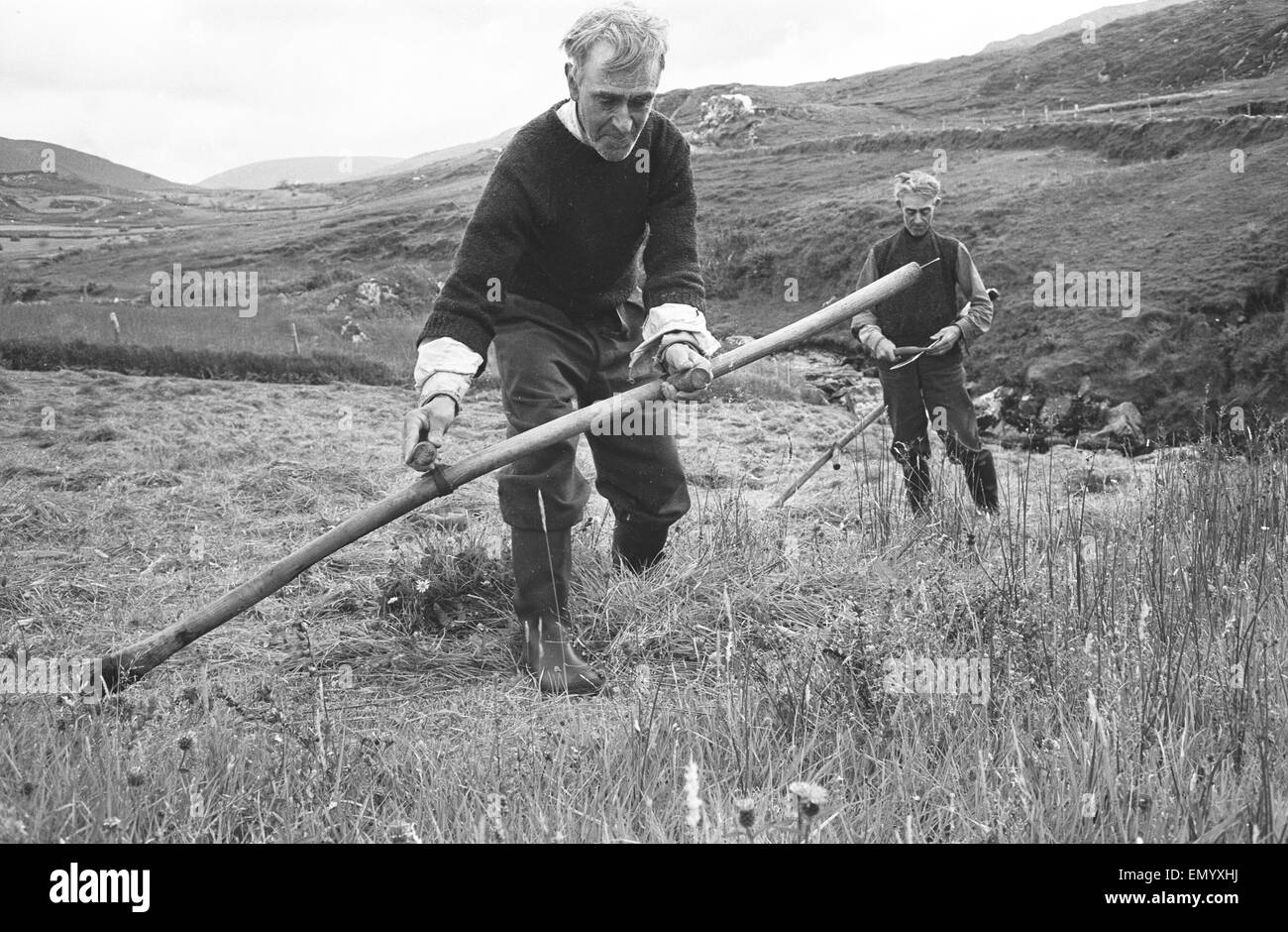Gli agricoltori la raccolta del fieno in colline e campi guardando oltre la Contea di Donegal villaggio di Glencolumbkille 7 Settembre 1963 Foto Stock