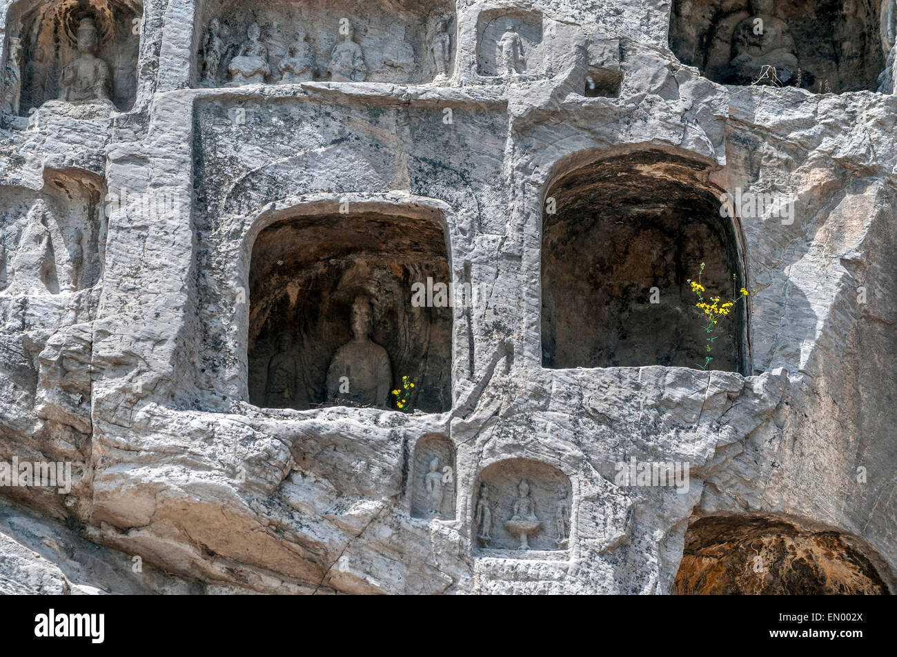 Luoyang . Le Grotte di Longmen è uno dei tre principali grotta - Tempio ensemble in Cina. Foto Stock