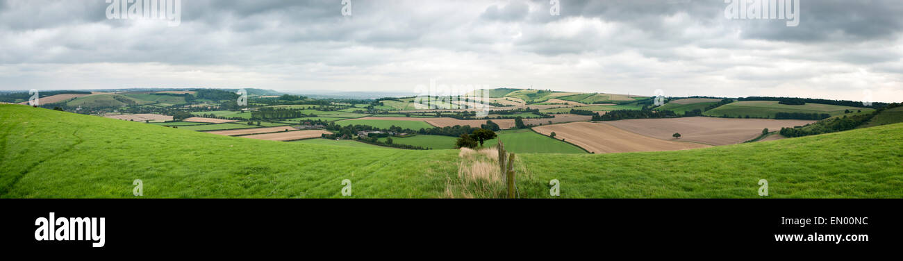 South Downs View est dalla piccola collina compresi East Meon e Butser Hill Foto Stock