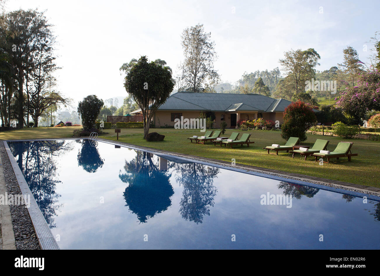 Norwood Bungalow al Dilmah Tea Break: La piscina Foto Stock
