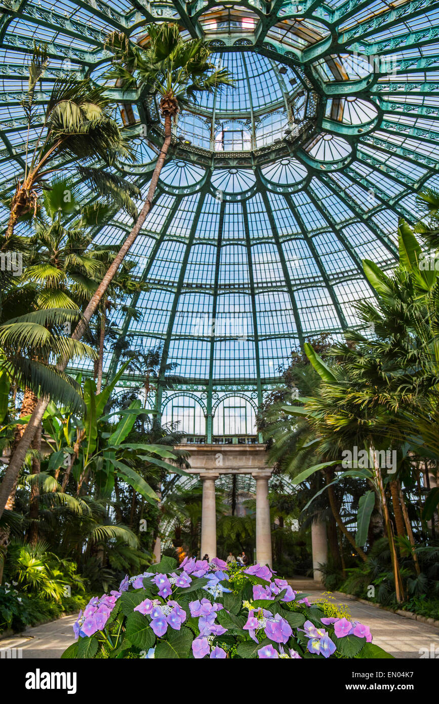 Jardin d'hiver / Giardino invernale presso le Serre Reali di Laeken in stile Art Nouveau nel parco del Palazzo Reale, Belgio Foto Stock