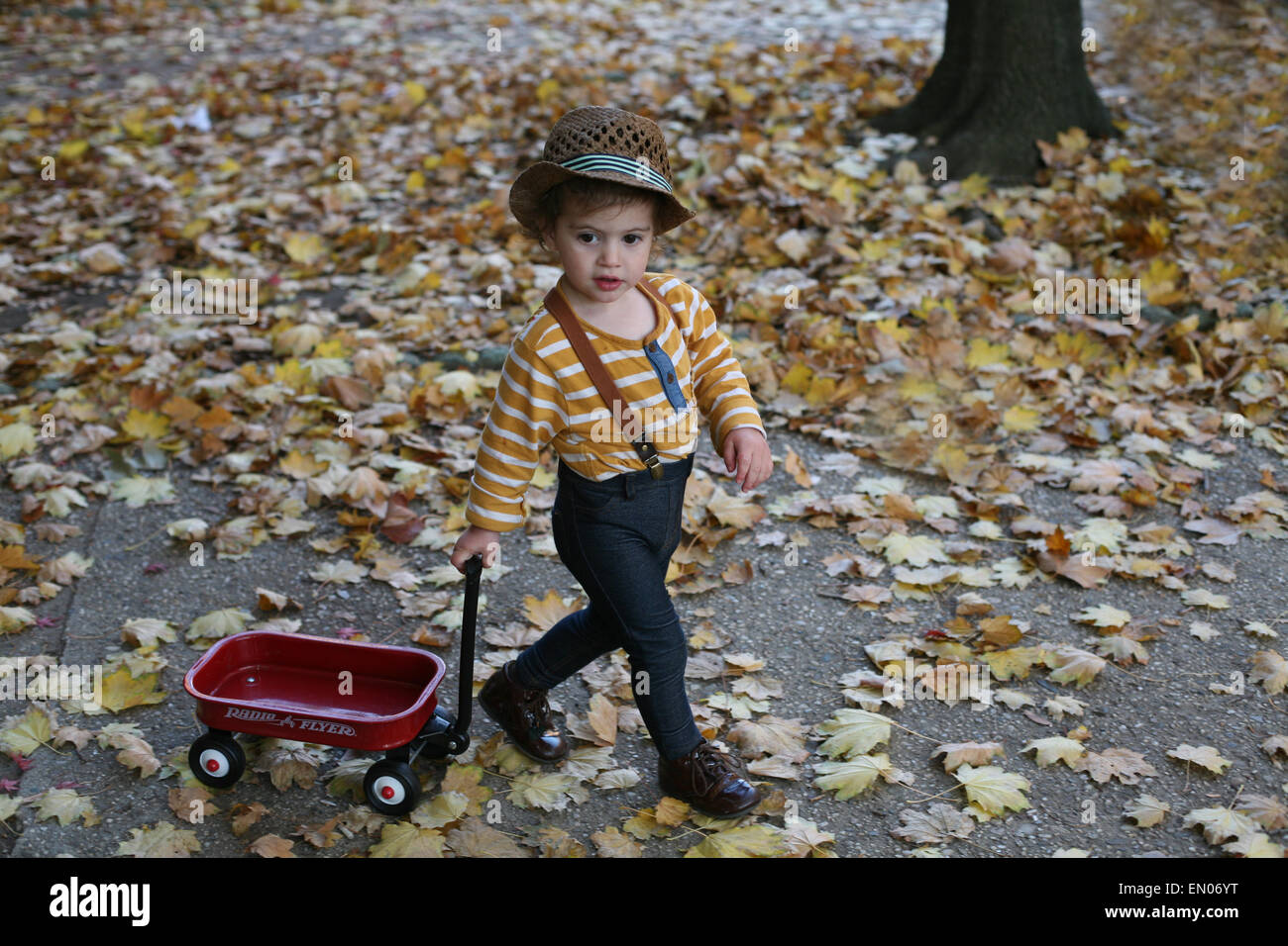 Ragazzino facendo una passeggiata con il suo rosso poco carro attraverso le foglie di autunno nella città Brooklyn,NY. Foto Stock