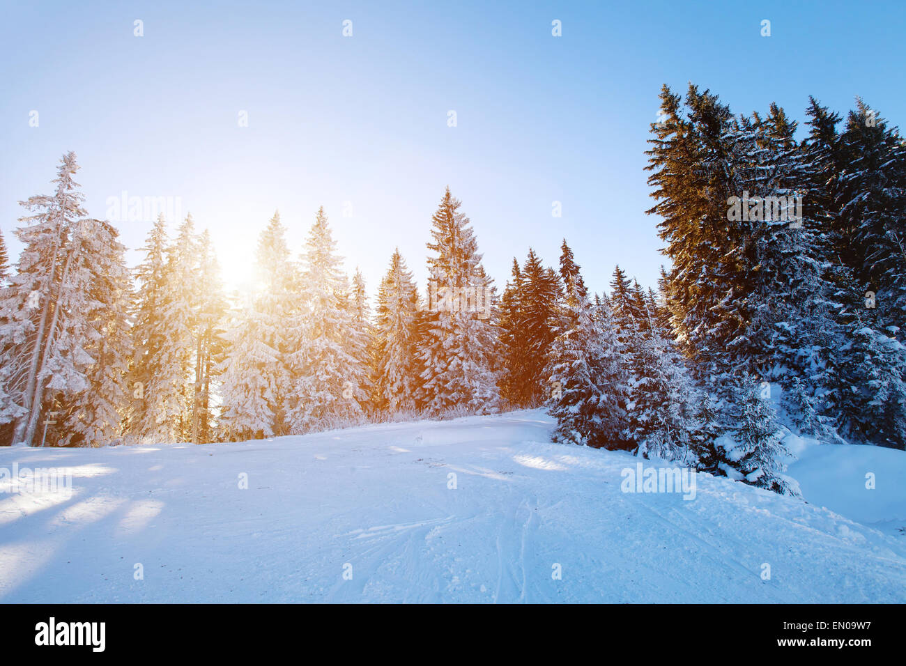 Incantevole paesaggio invernale, sulle piste da sci in giornata soleggiata Foto Stock