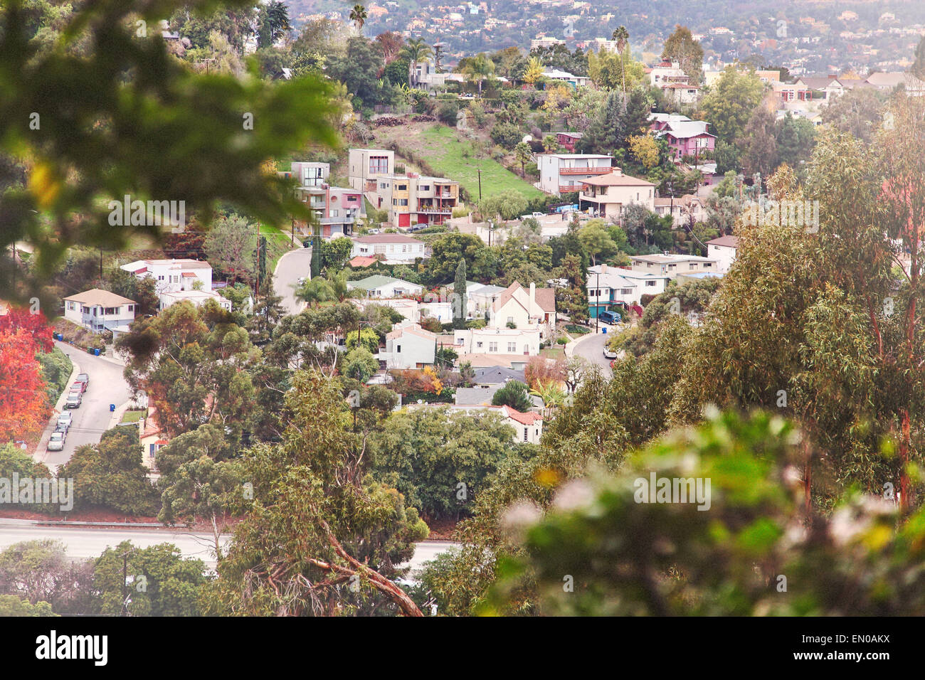 Il trendy quartiere collinare di Silverlake, sul lato est di Los Angeles, girato in teleobiettivo con profondità di campo ridotta. Foto Stock