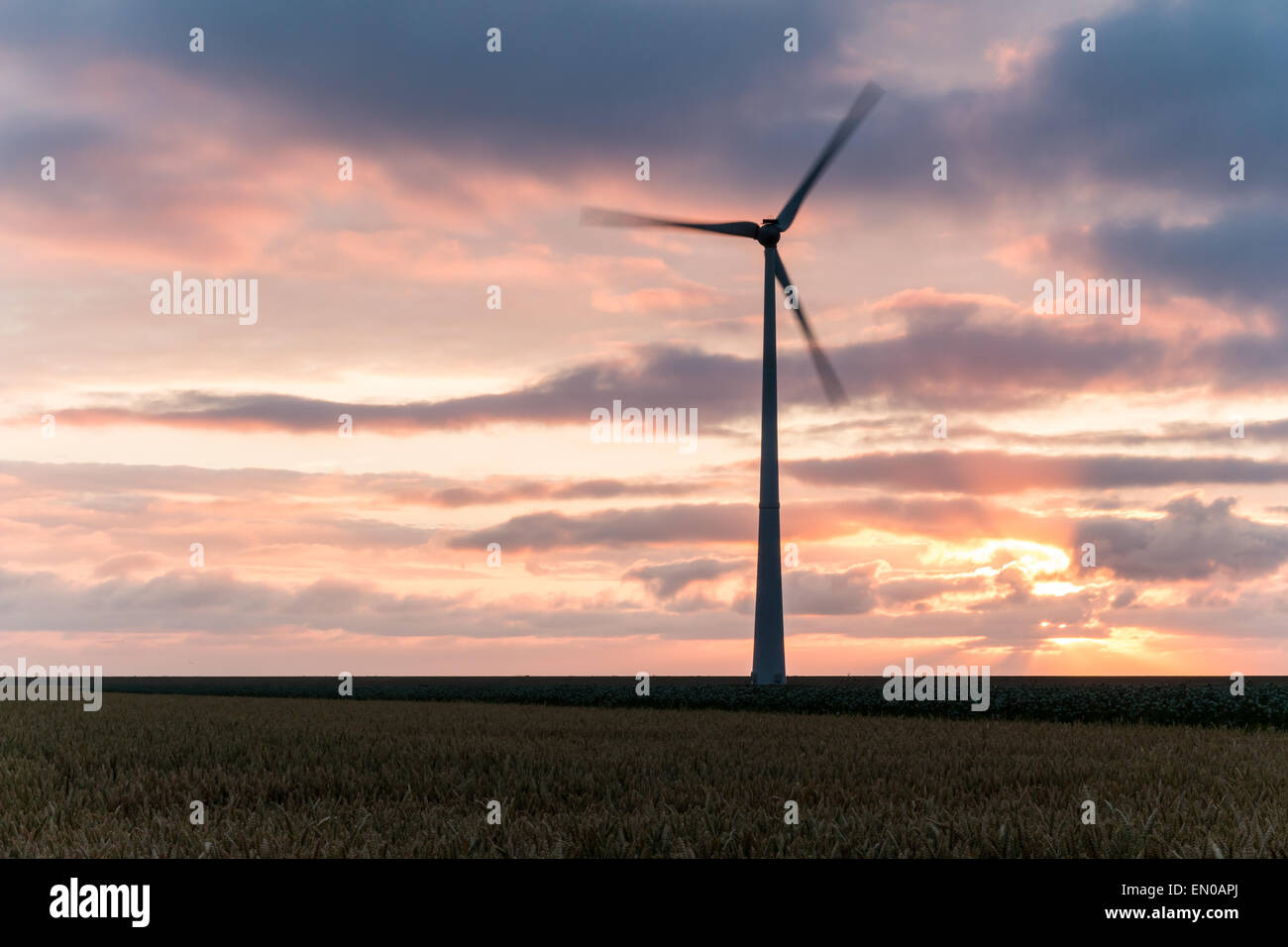 Fonti di energia verde proveniente da un mulino a vento al tramonto. Foto Stock