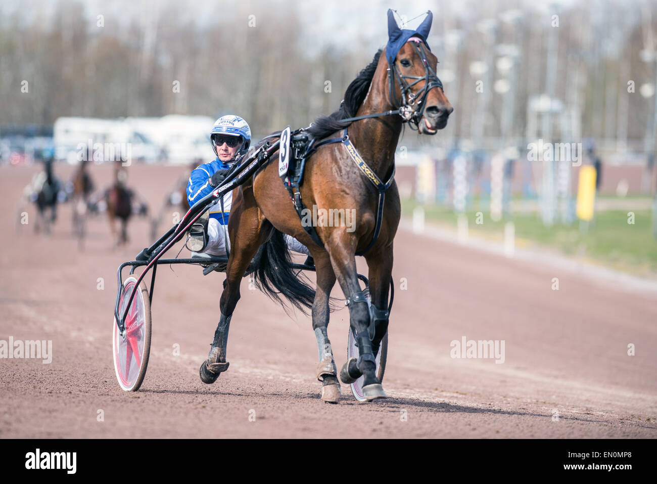 Cablaggio racing campione Jorma Kontio prepara un cavallo a Mantorp race course in Svezia Foto Stock