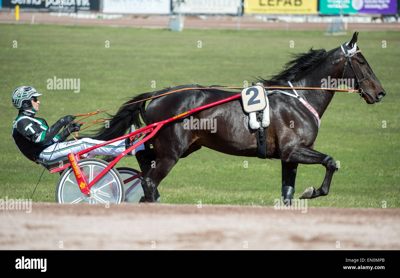 Cablaggio racing campione Johnny Takter vince Olympiatravet qualifiche a Mantorp race course Foto Stock