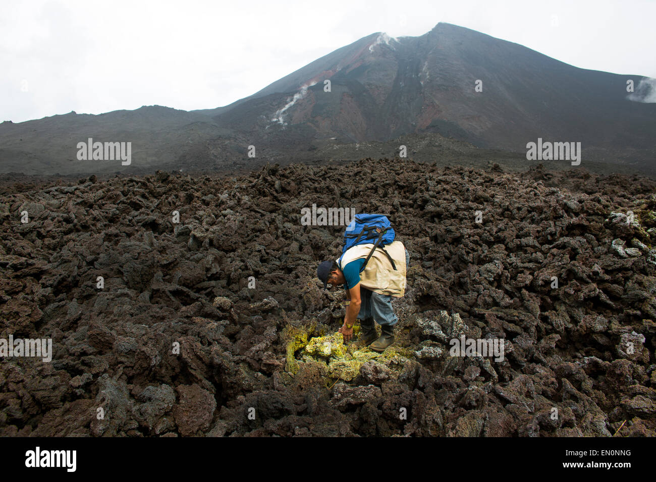 Pacaya è uno del Guatemala il vulcano più attivo è Foto Stock