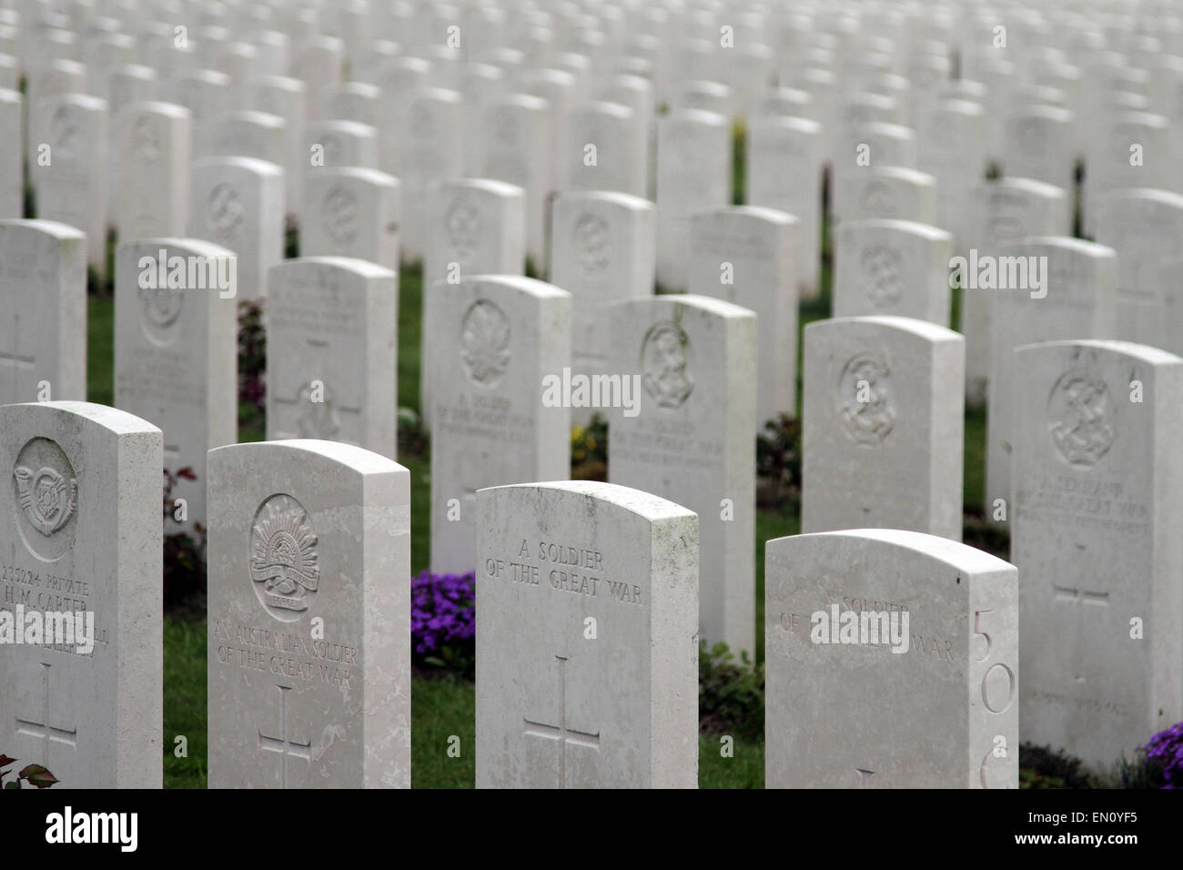 Le tombe dei soldati della Prima Guerra Mondiale a Tyne Cot cimitero, vicino a Ypres, Belgio. Foto Stock