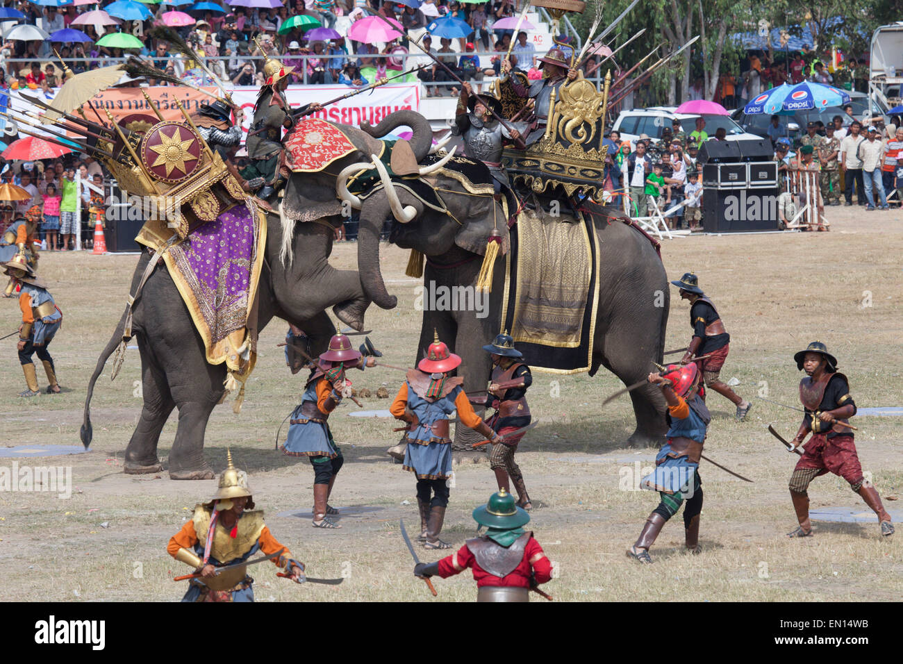 Surin, elefante round-up, elefante, leale battaglia re-enazione presso la fiera di elefante Foto Stock