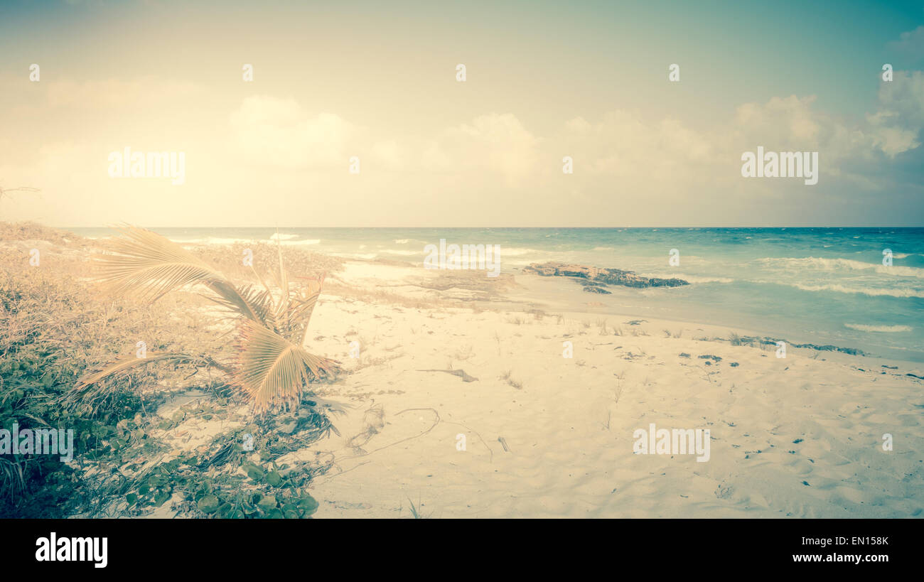 In stile vintage foto della spiaggia dei Caraibi e mare Foto Stock