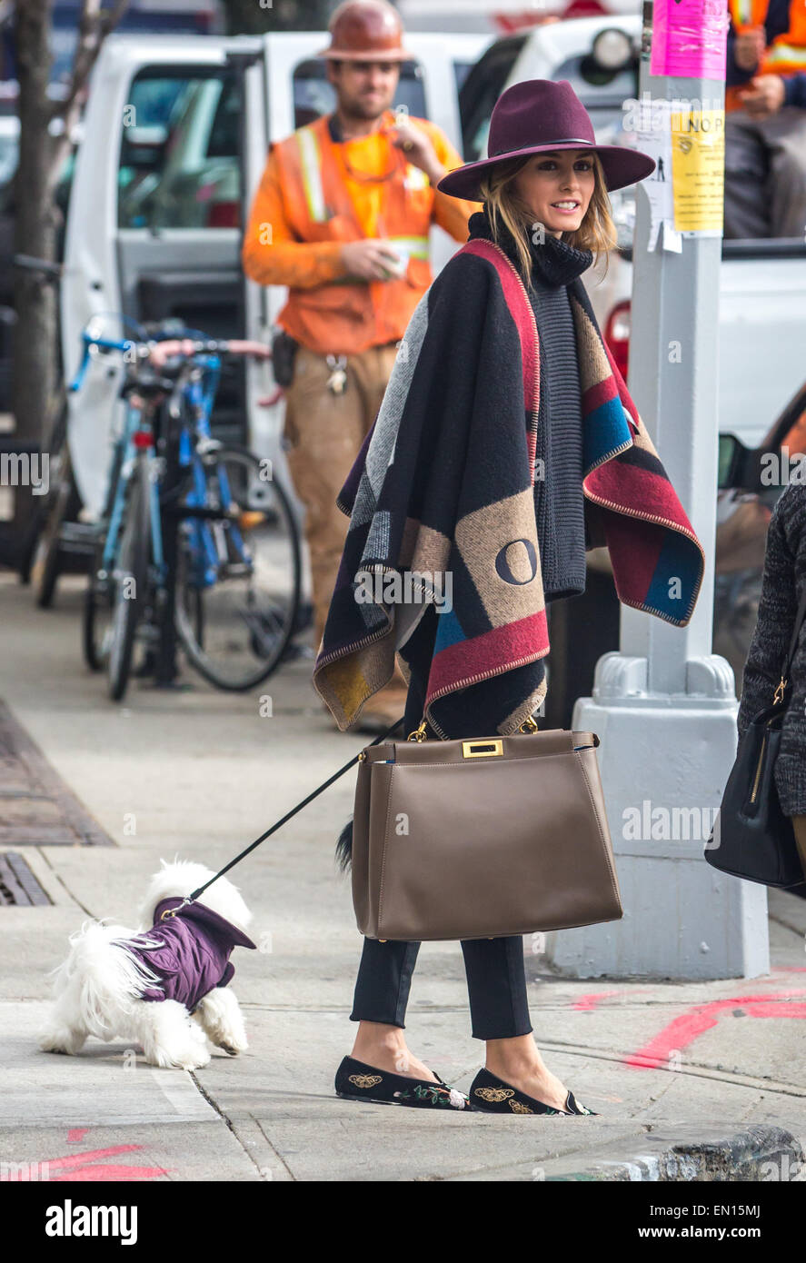 Olivia Palermo, cercando elegante indossando un cappello e un Burberry blocco colore controllare coperta poncho, esecuzione di commissioni di Brooklyn con il suo cane sig. Butler dotate: Olivia Palermo,il Sig. Il maggiordomo dove: Brooklyn, New York, Stati Uniti quando: 21 Ott 2014 Foto Stock