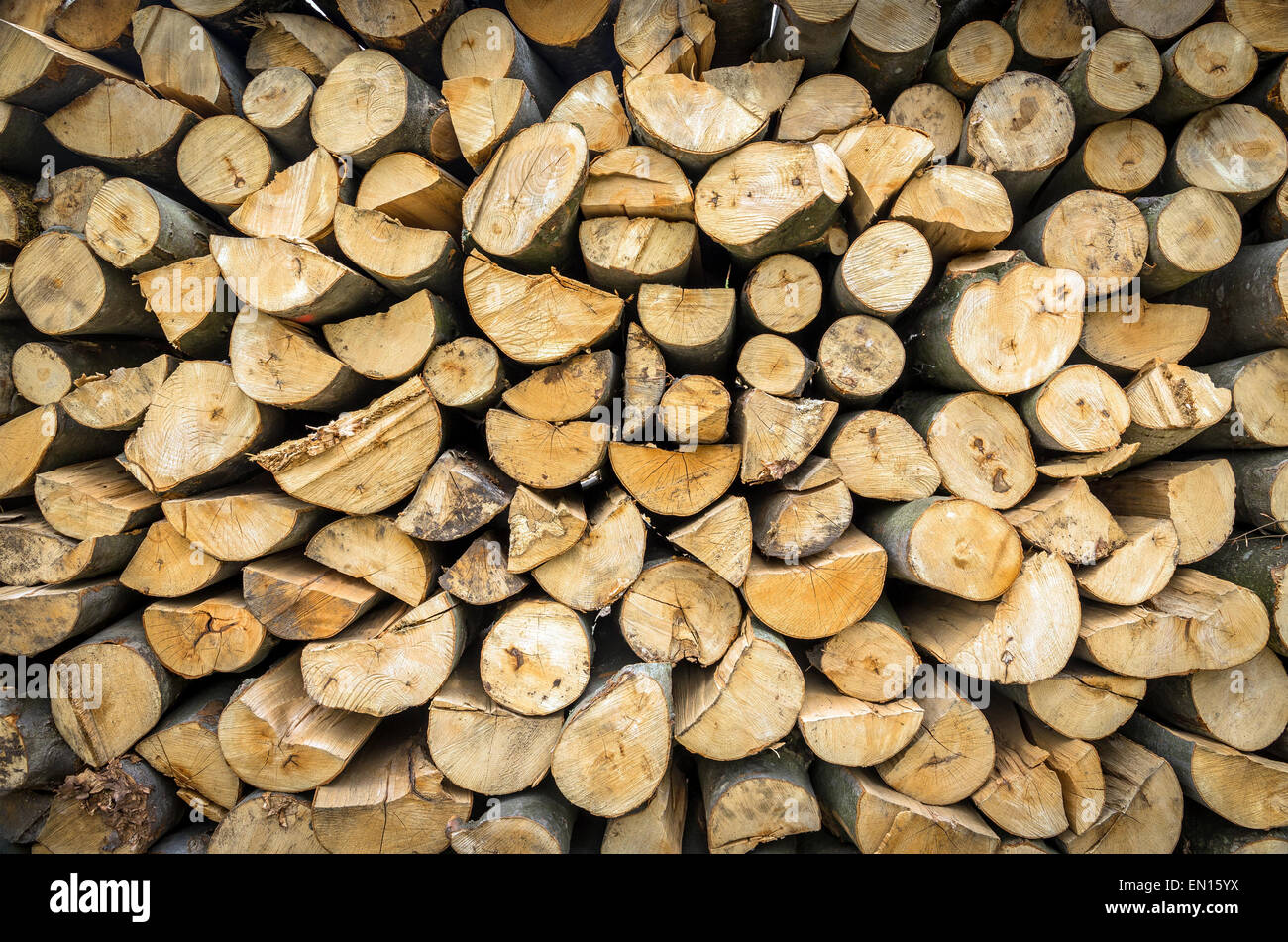 Catasta di legna da ardere preparato da qualche parte nel paese Foto Stock