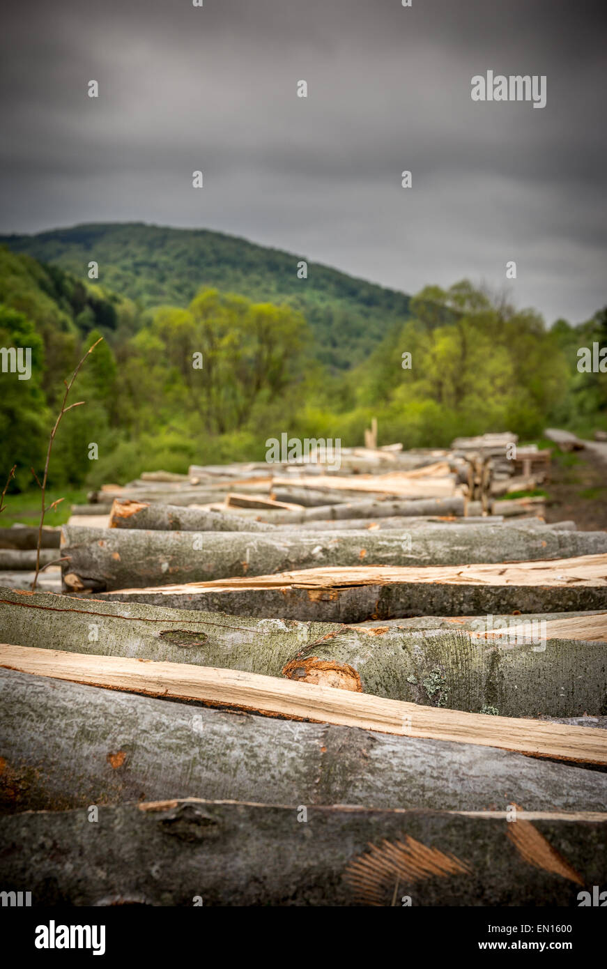 Tempo piovoso oltre il paesaggio rurale con tronchi di legno in primo piano Foto Stock