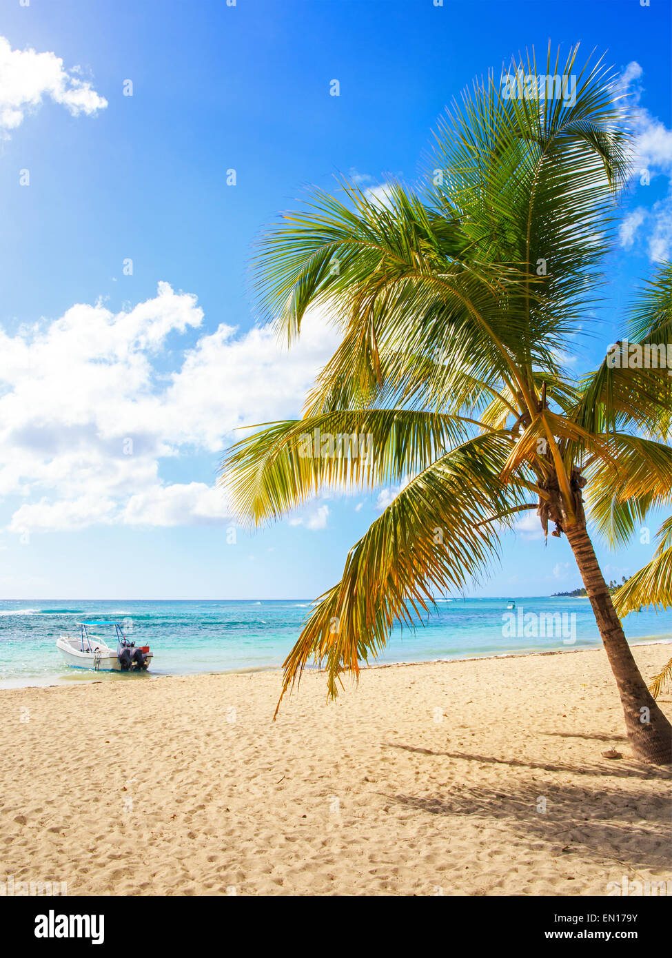 Splendida spiaggia caraibica sull'isola di Saona, Repubblica Dominicana Foto Stock