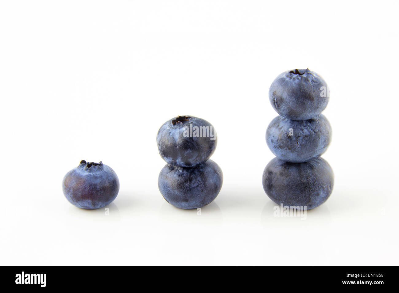 Crescendo concetto fatta di mirtilli freschi Foto Stock