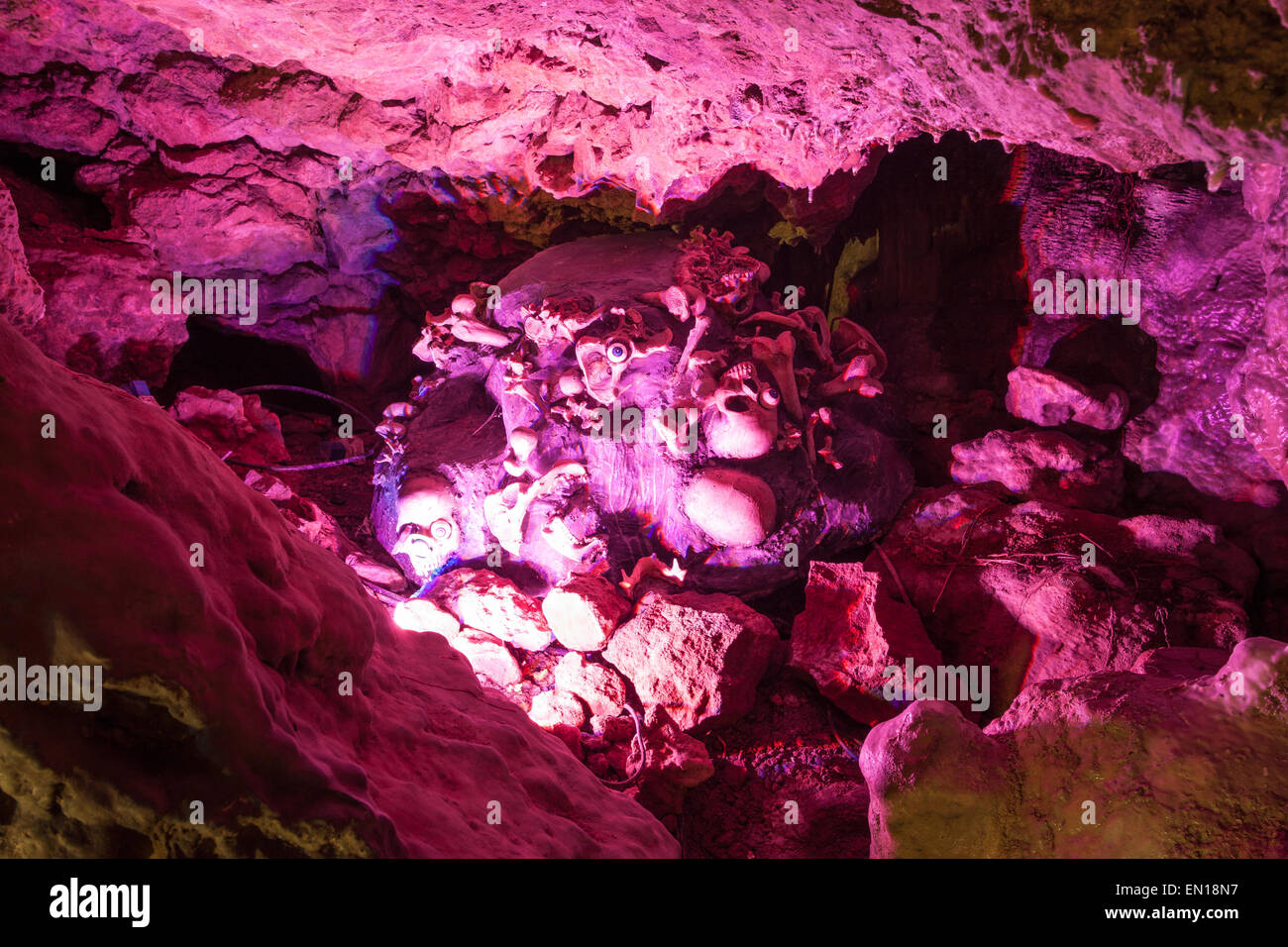 Una collezione di teschi e gli occhi sono illuminati da luci rosa per creare un effetto spaventoso Foto Stock