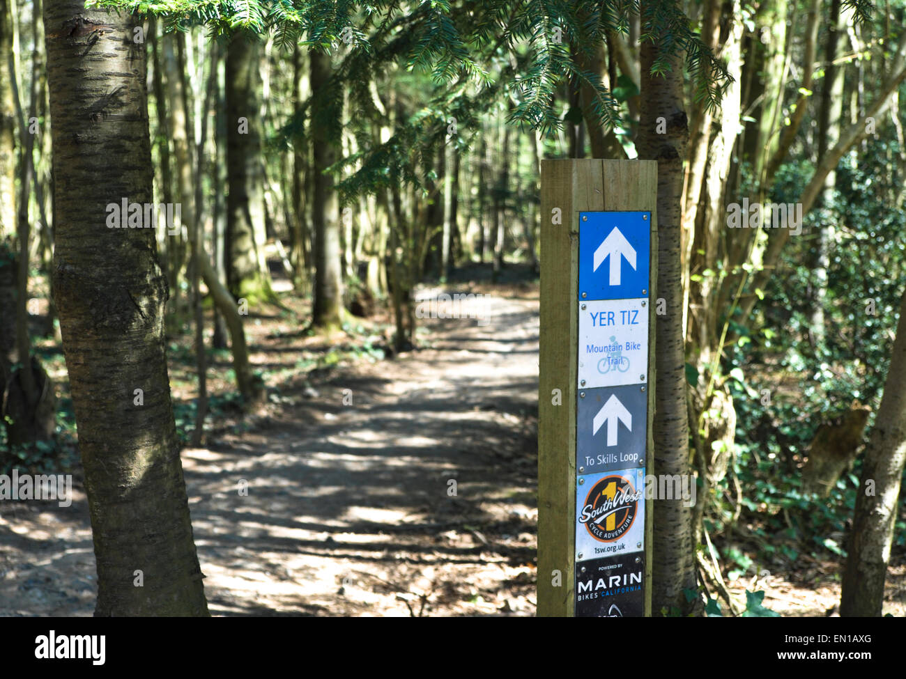 Leigh boschi vicino a Bristol Sito di percorsi per mountain bike, sentieri, tane e naturalmente gli alberi. Foto Stock